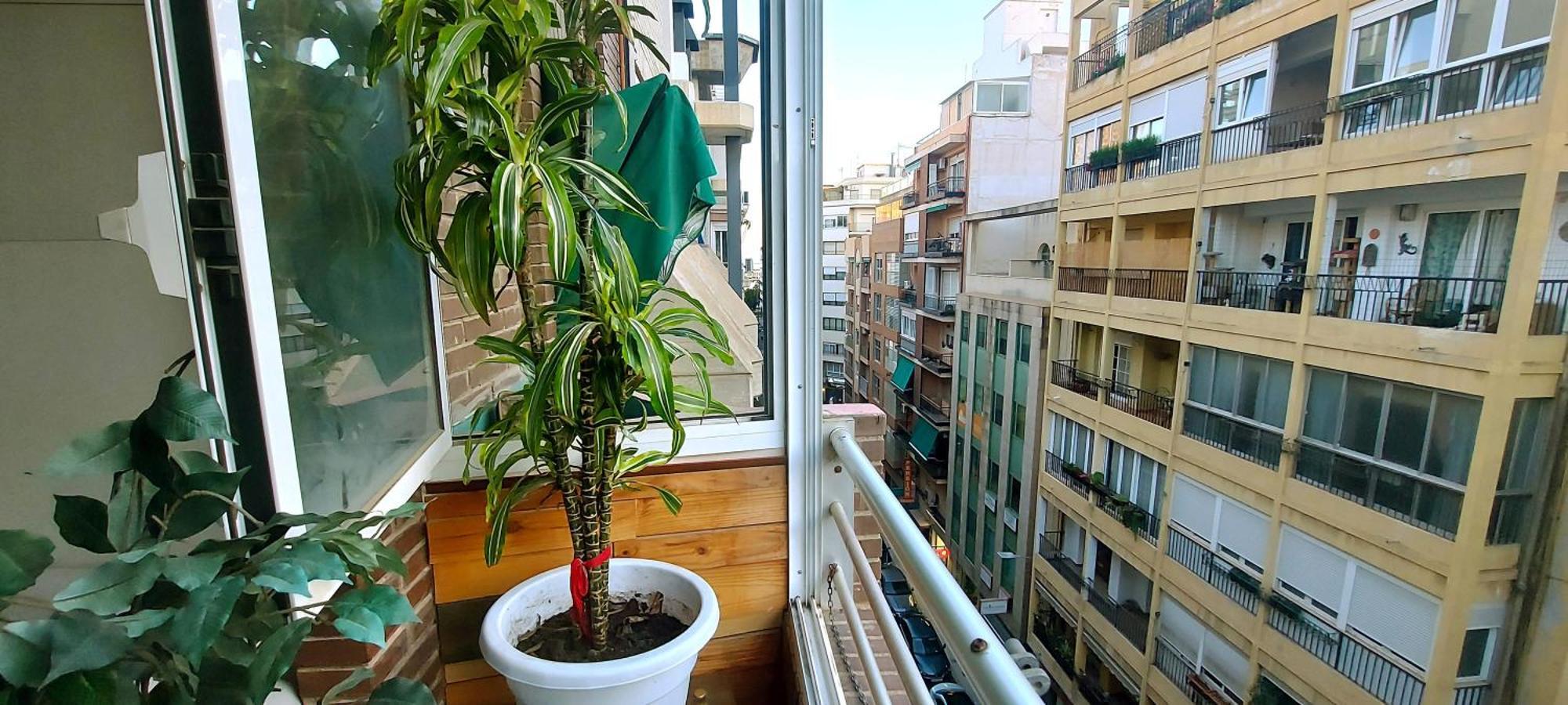 אליקאנטה Modern Apartment In Alacant 60M² Wheelchair Accessible מראה חיצוני תמונה