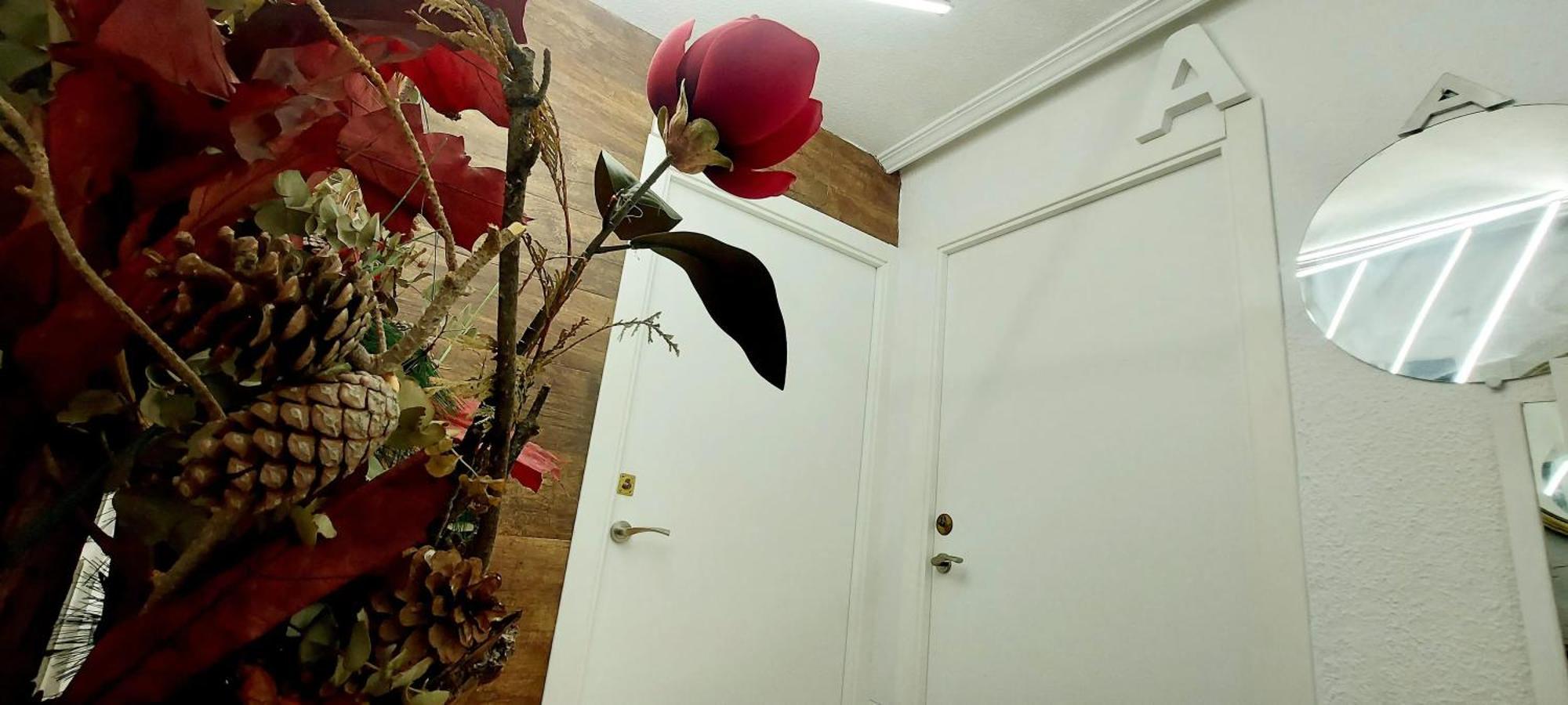 אליקאנטה Modern Apartment In Alacant 60M² Wheelchair Accessible מראה חיצוני תמונה